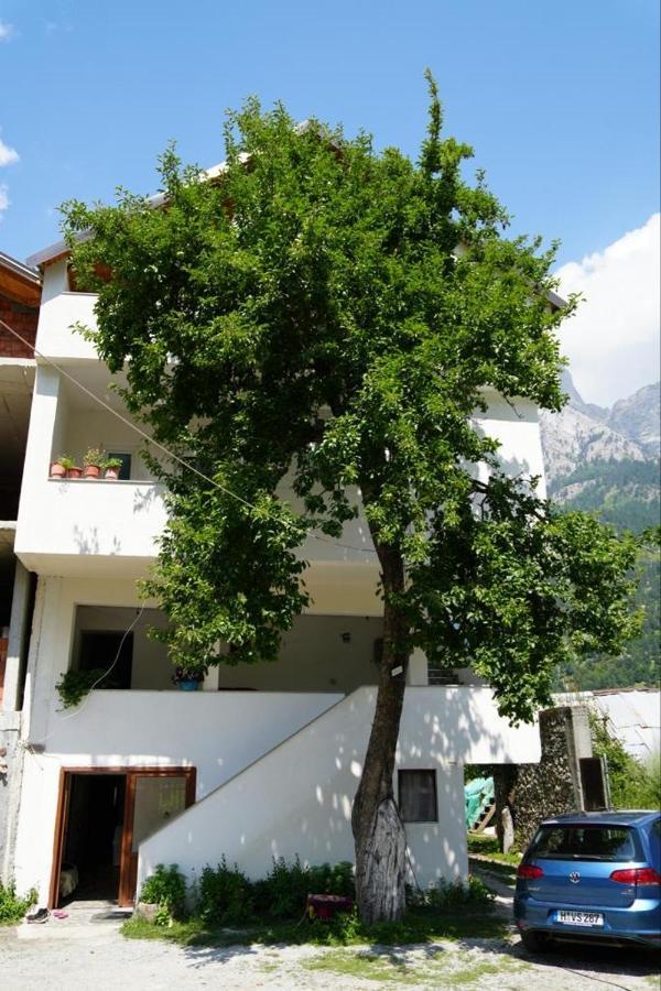 ולבונה Guesthouse Skender Selimaj מראה חיצוני תמונה