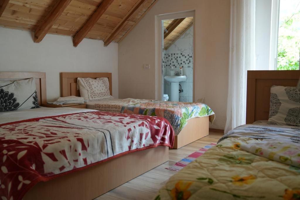 ולבונה Guesthouse Skender Selimaj מראה חיצוני תמונה
